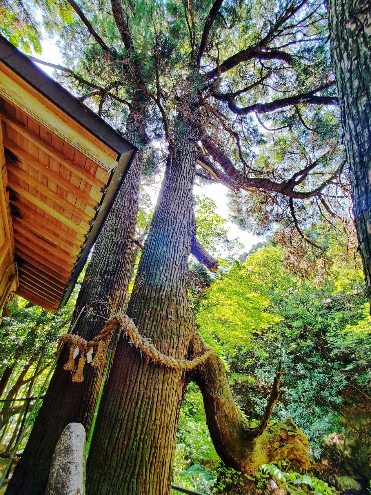 当時のメディア報道・掲載写真